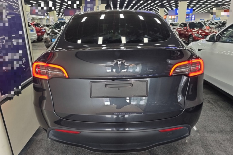 Tesla Model Y 2024 #4 Tesla Model Y 2024 car image #4
