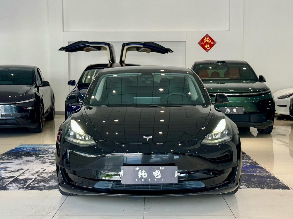 Tesla Model 3 2020 #2 Tesla Model 3 2020 car image #2