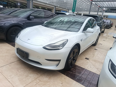 Tesla Model 3 2021 Tesla Model 3 2021 car image