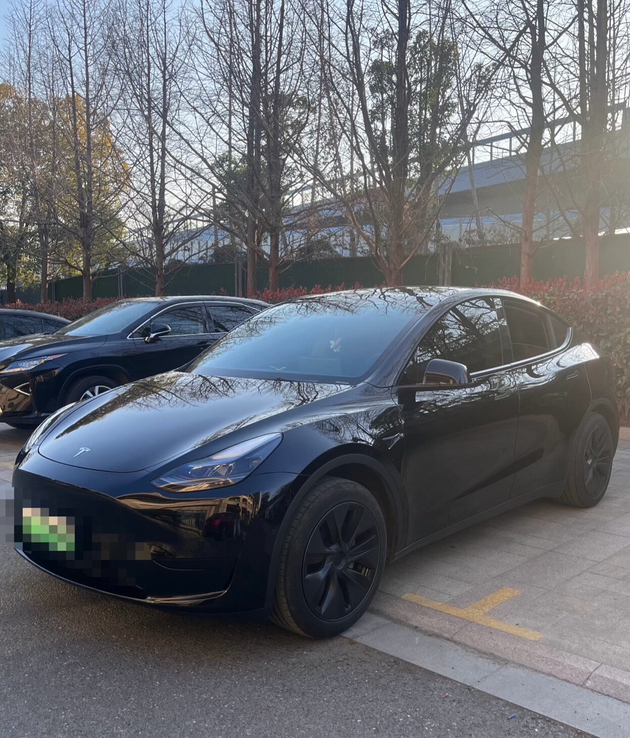 Tesla Model Y 2024 Tesla Model Y 2024 car image