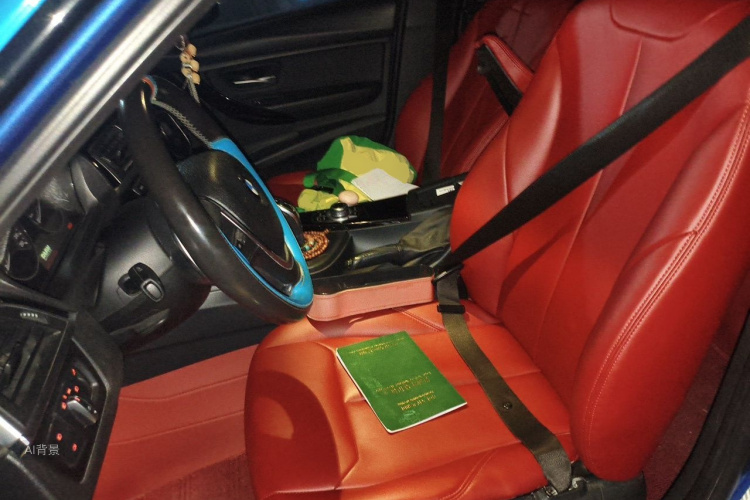 BMW 3 Series 2016 car image #17