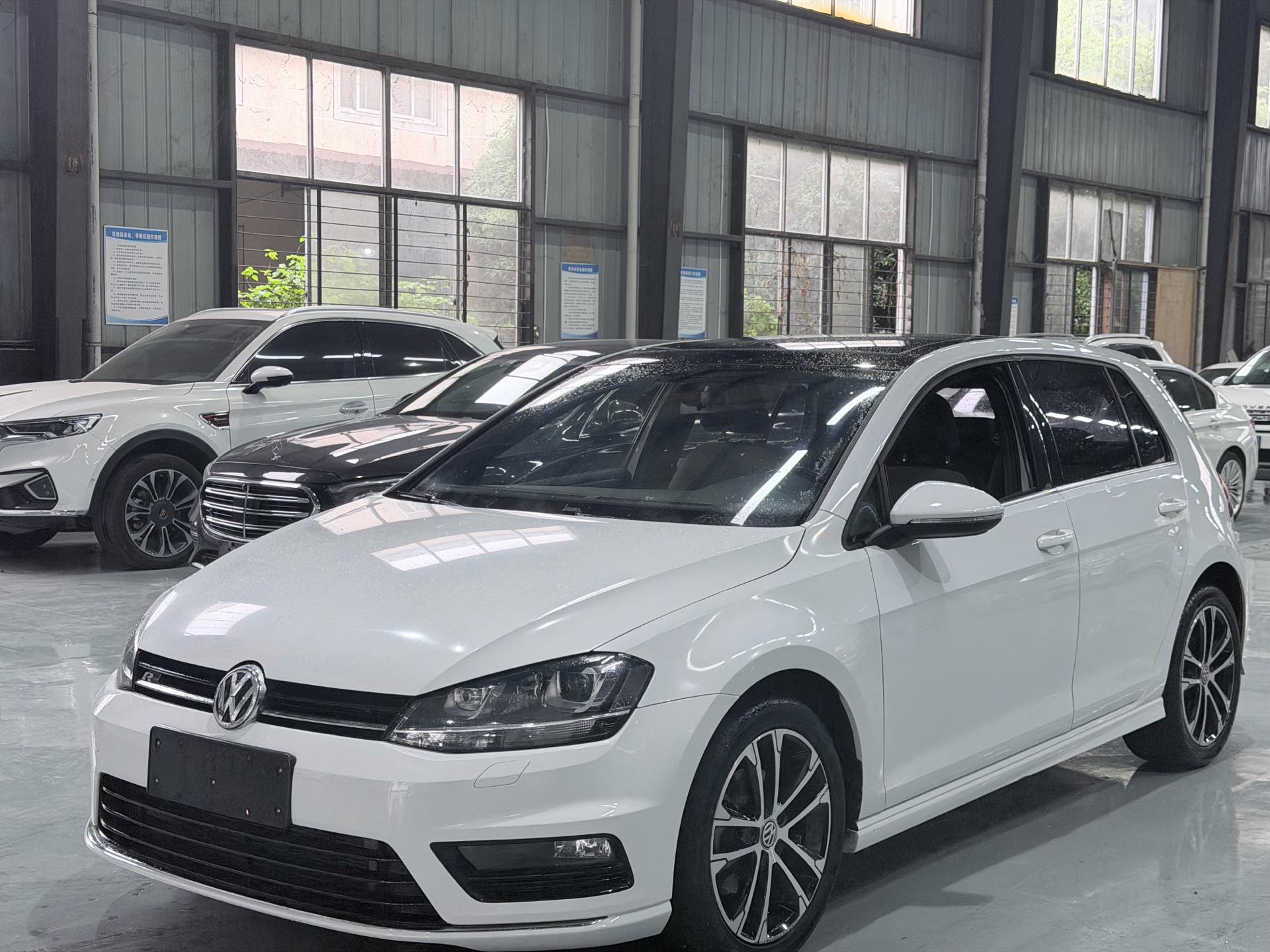 Volkswagen Golf 2016 汽车图片 
