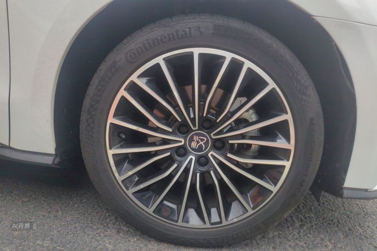 BYD Han 2020 #9 BYD Han 2020 изображение автомобиля #9