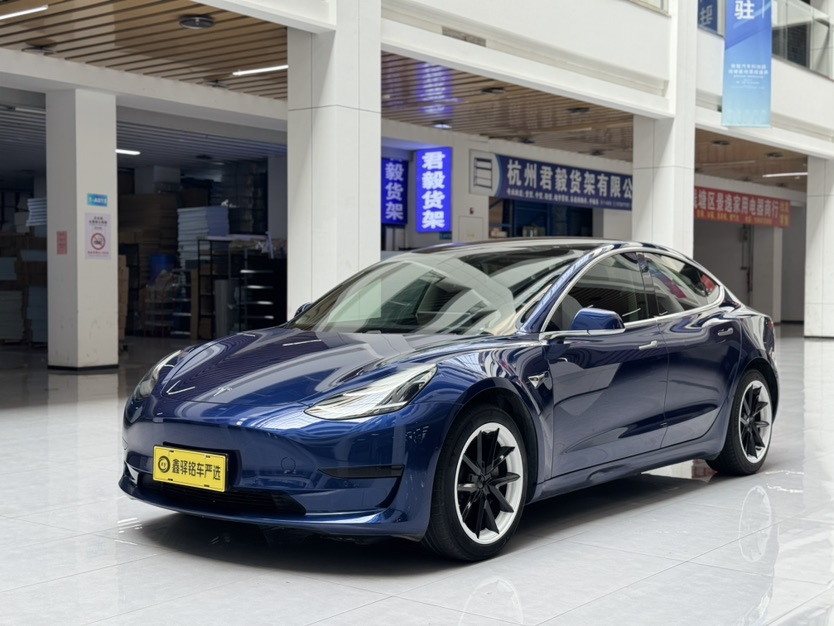 Tesla Model 3 2020 Tesla Model 3 2020 car image