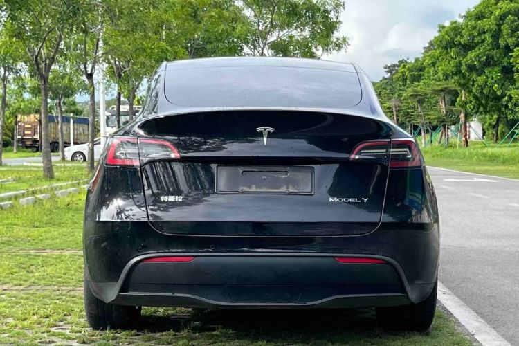 Tesla Model Y 2021 #6 Tesla Model Y 2021 car image #6