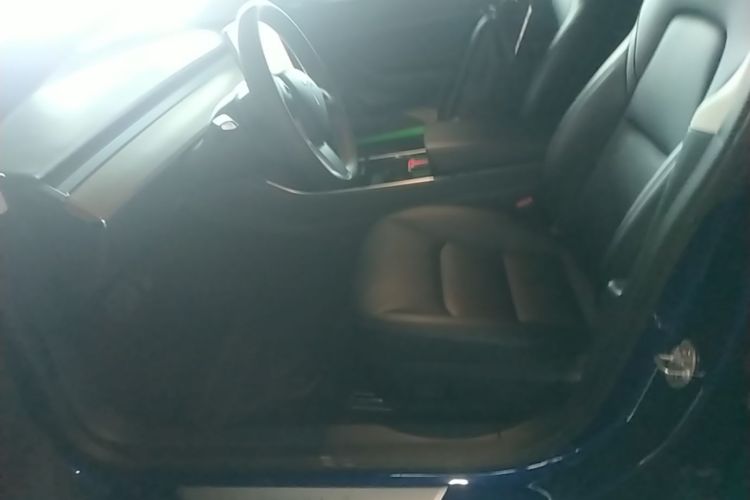 Tesla Model 3 2020 #15 Tesla Model 3 2020 car image #15