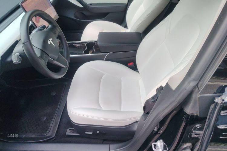 Tesla Model 3 2020 #17 Tesla Model 3 2020 car image #17