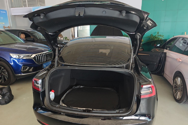 Tesla Model 3 2022 immagine di auto #19
