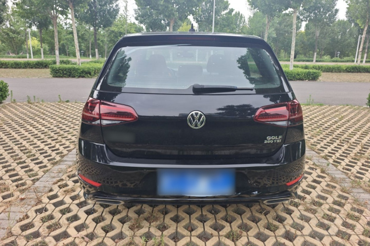 Volkswagen Golf 2019 #23 Volkswagen Golf 2019 car image #23