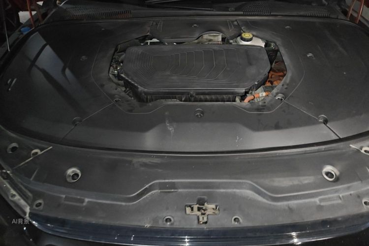 BYD Han 2021 #22 BYD Han 2021 immagine di auto #22