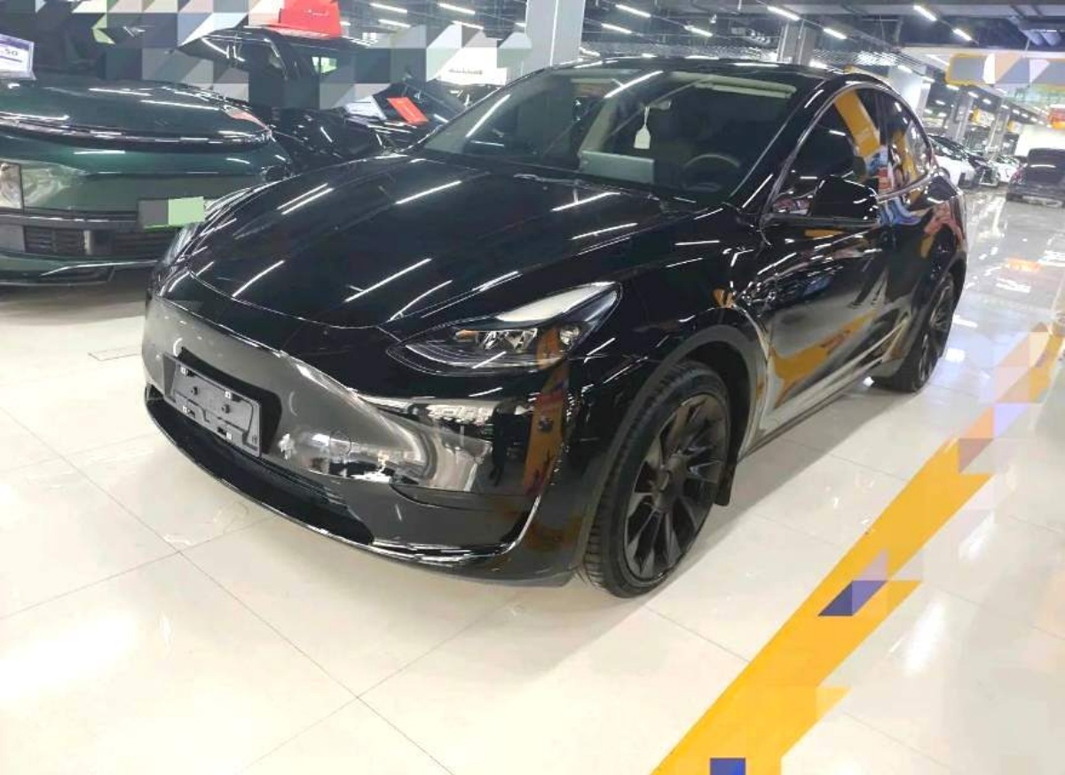 Tesla Model Y 2022 Tesla Model Y 2022 car image