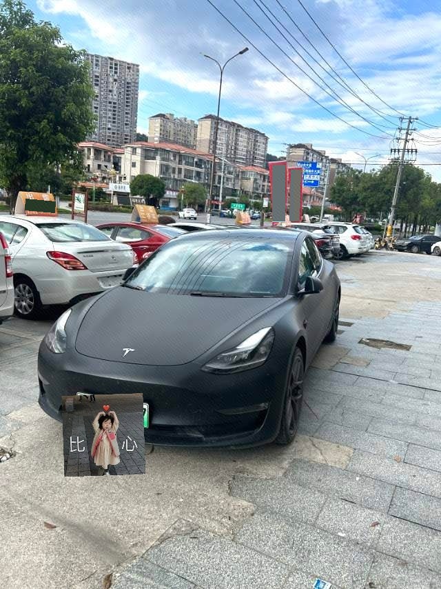 Tesla Model 3 2022 Tesla Model 3 2022 car image