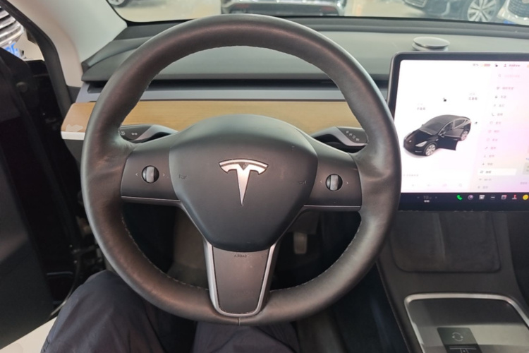Tesla Model Y 2021 car image #11