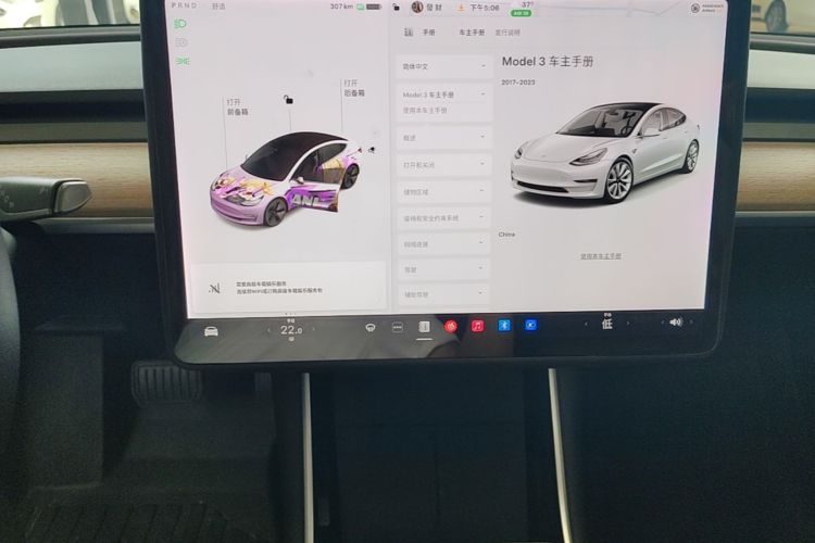 Tesla Model 3 2020 car image #17