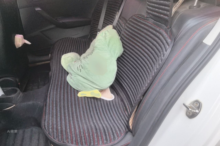 Volkswagen Santana 2016 car image #19
