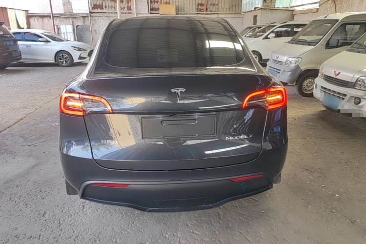 Tesla Model Y 2024 #6 Tesla Model Y 2024 car image #6