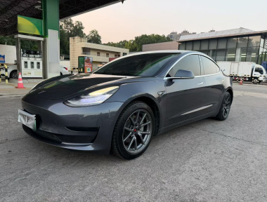 Tesla Model 3 2020 Tesla Model 3 2020 car image