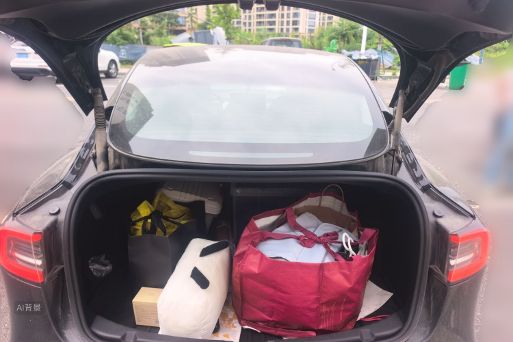Tesla Model 3 2021 car image #21