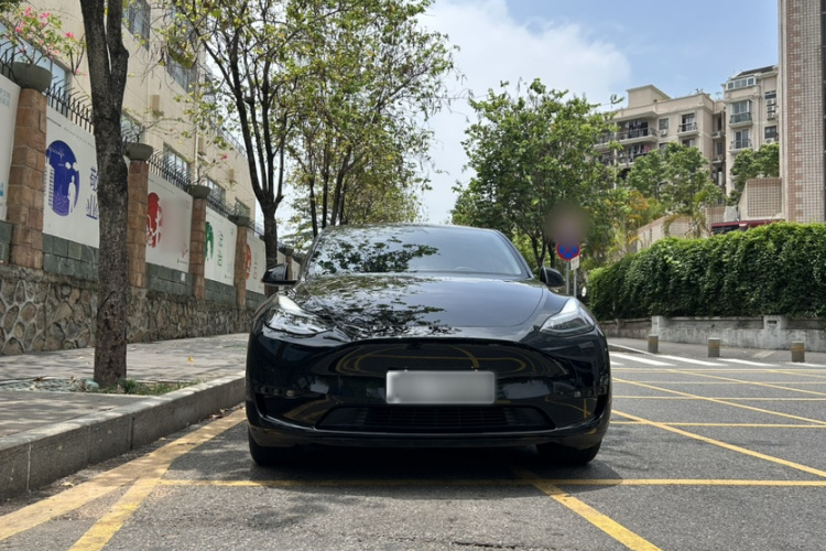 Tesla Model Y 2023 immagine di auto #10