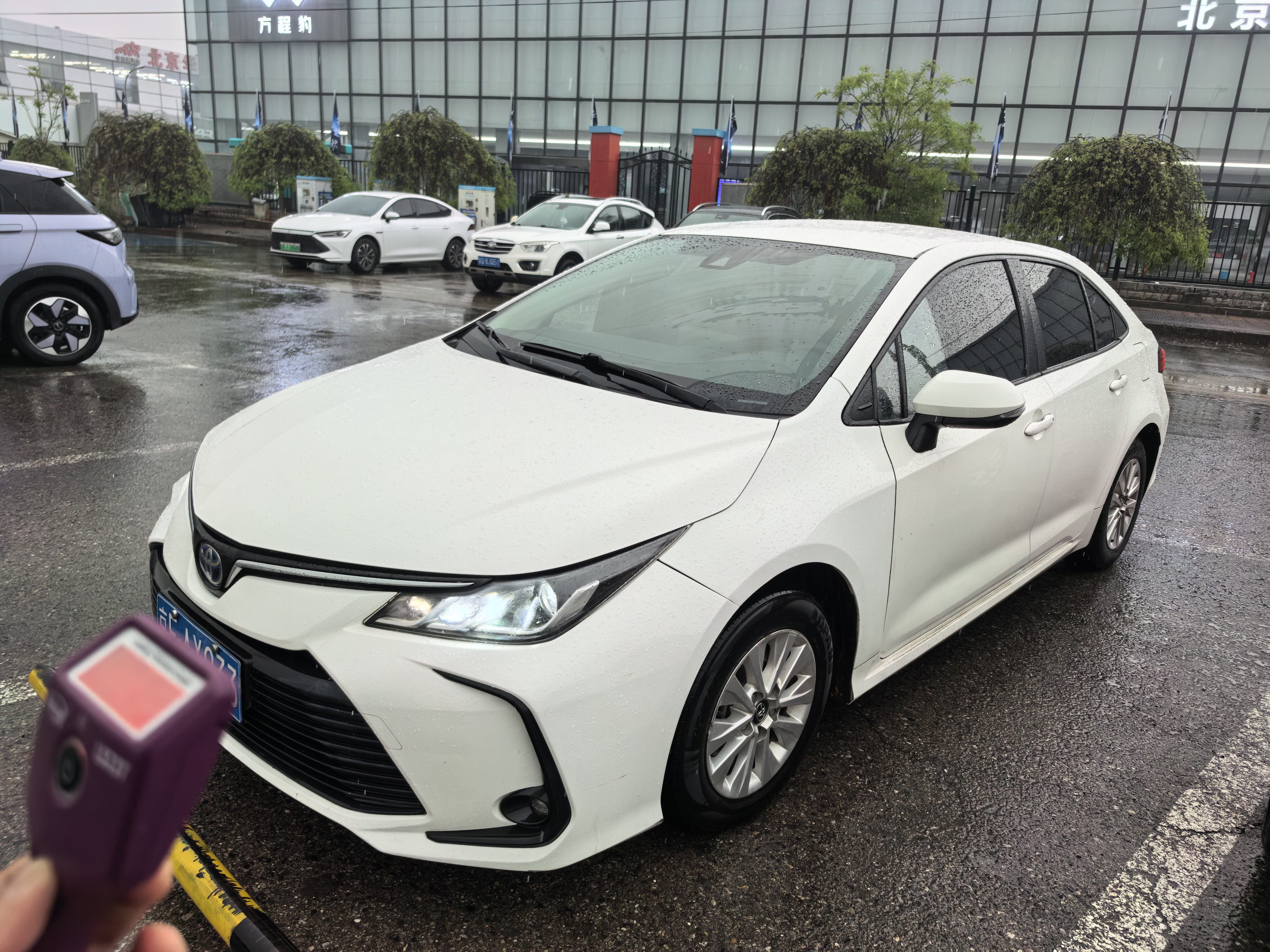 Toyota Corolla 2023 汽车图片 
