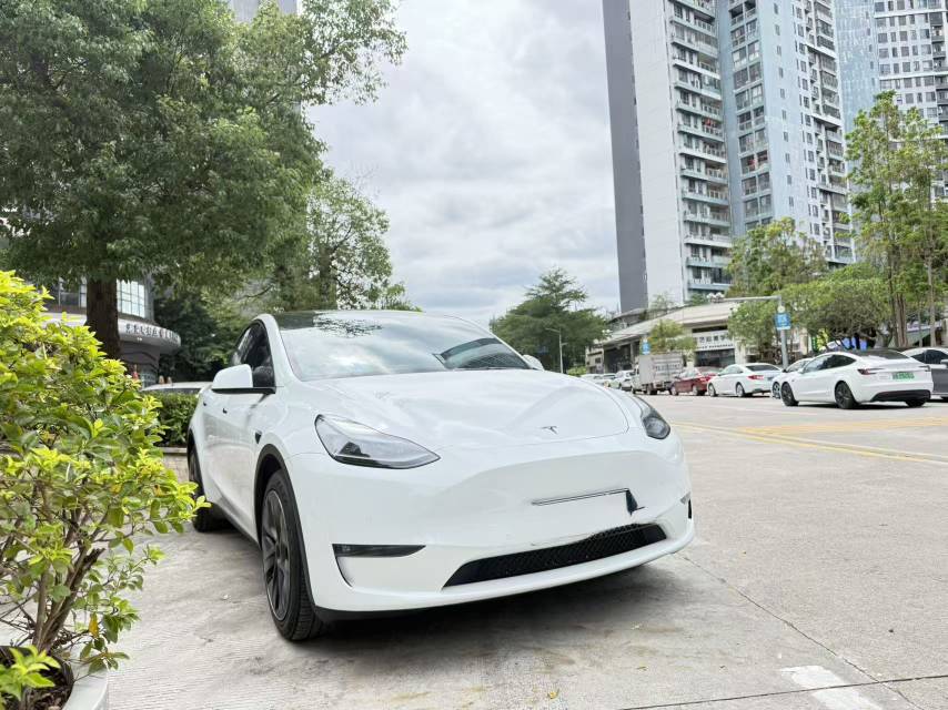 Tesla Model Y 2022 imagen de coche #2