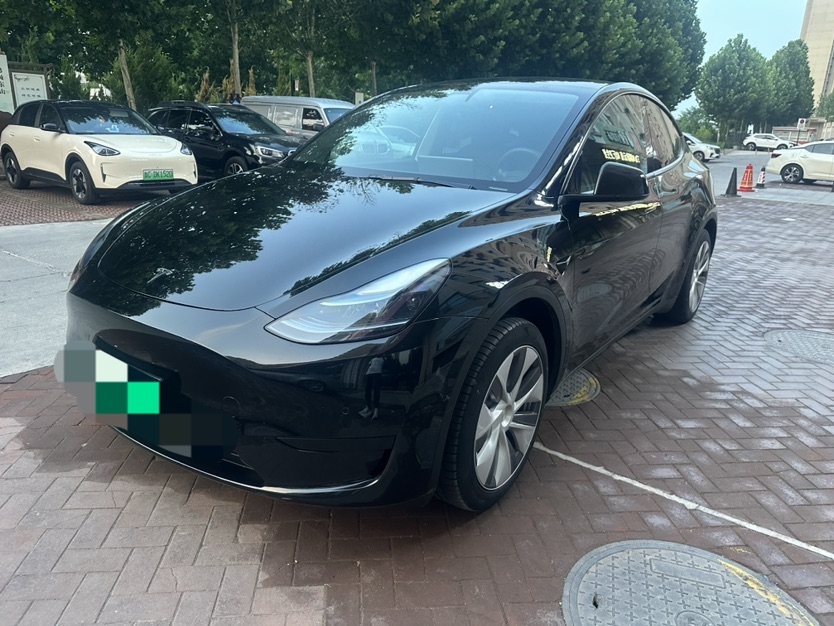 Tesla Model Y 2023 Tesla Model Y 2023 car image