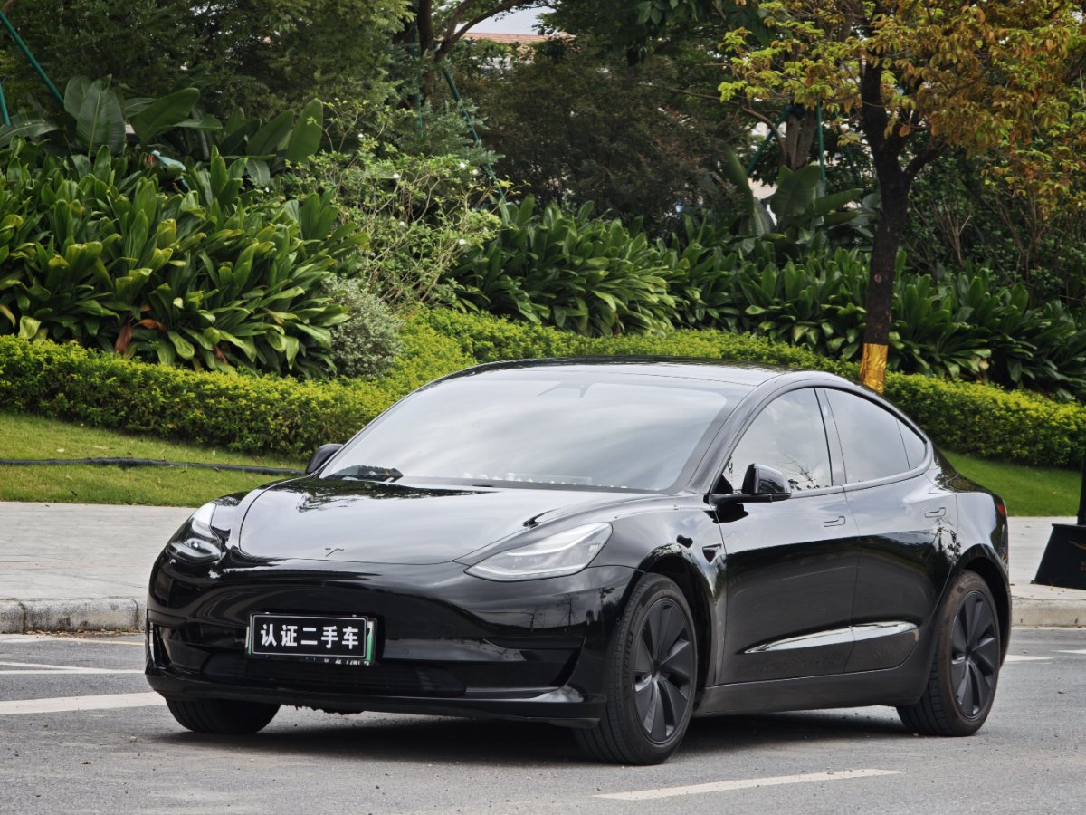 Tesla Model 3 2020 Tesla Model 3 2020 car image