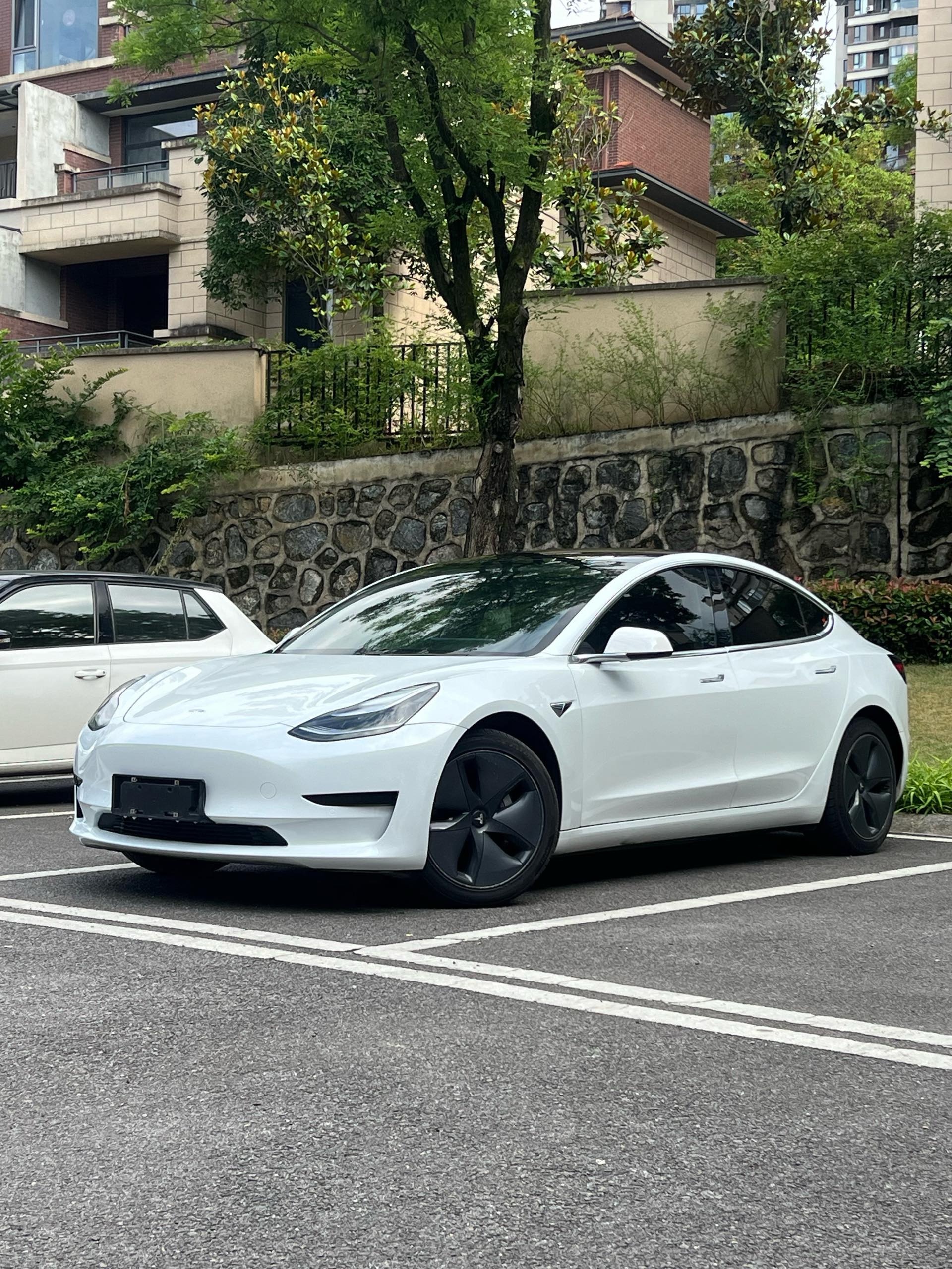 Tesla Model 3 2021 car image 