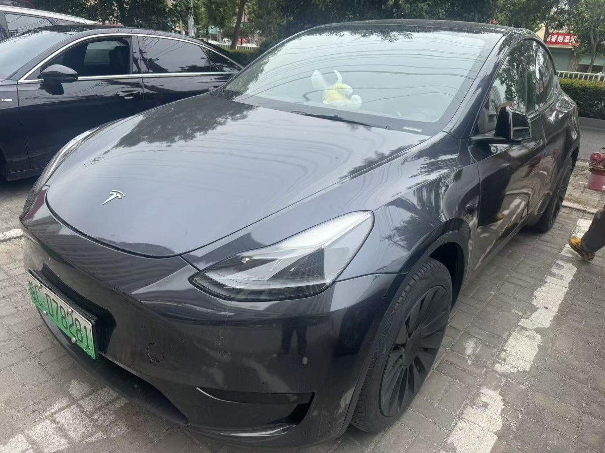 Tesla Model Y 2024 Tesla Model Y 2024 car image