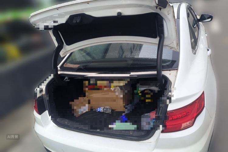 GEELY Emgrand GL 2020 car image #21