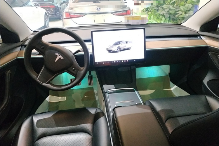 Tesla Model 3 2022 car image #10