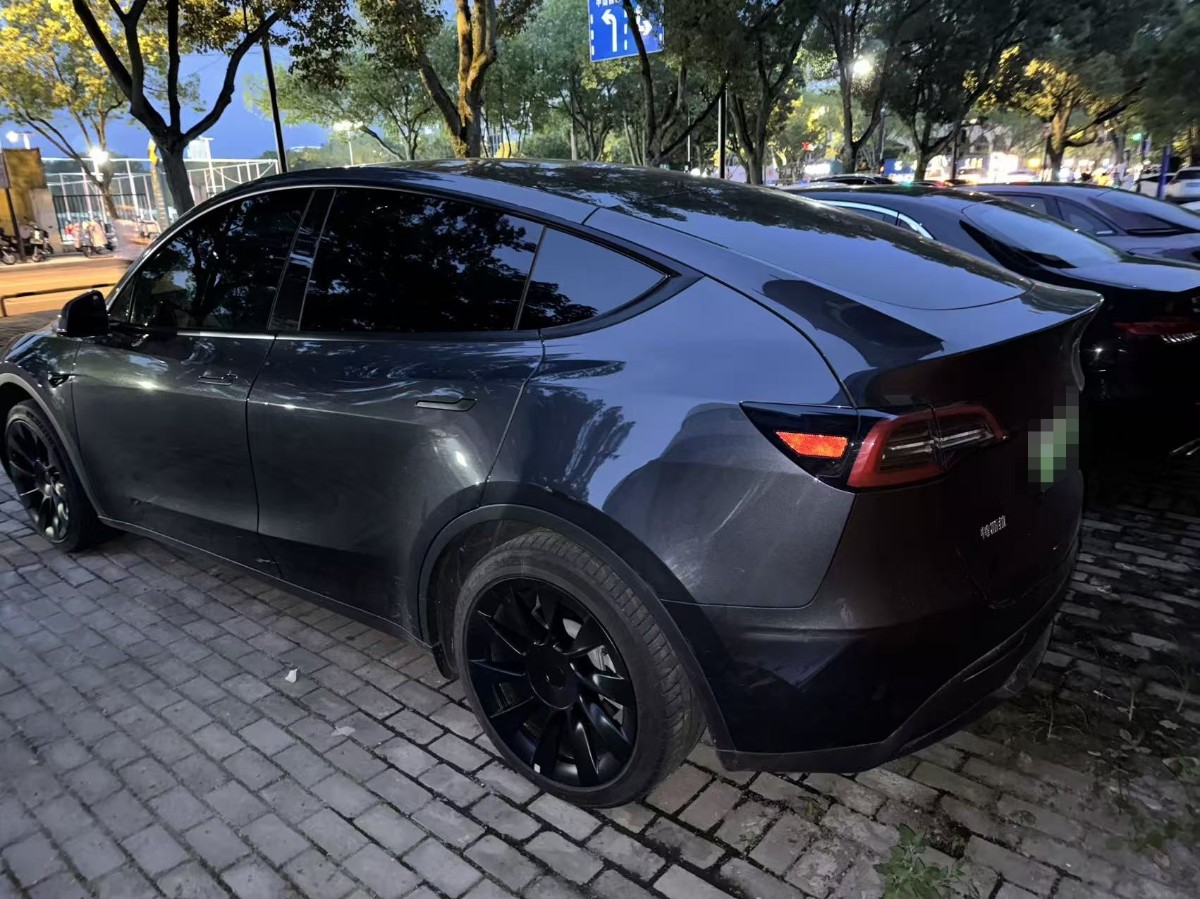 Tesla Model Y 2024 car image #4