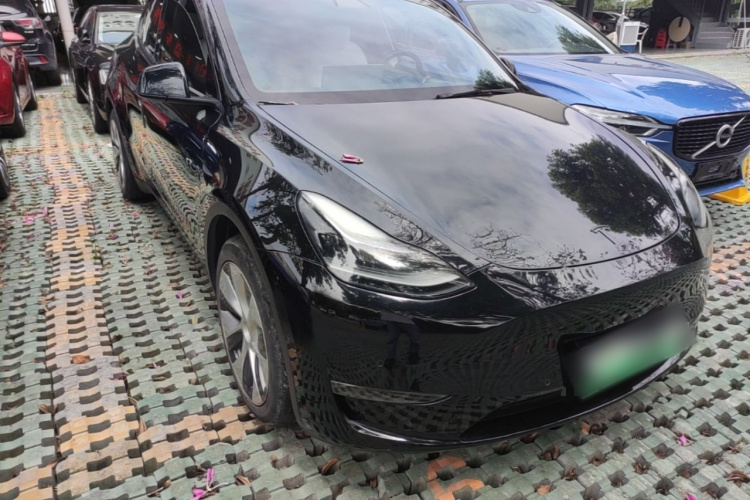 Tesla Model Y 2021 #4 Tesla Model Y 2021 car image #4