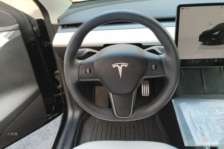 Tesla Model Y 2023 car image #12