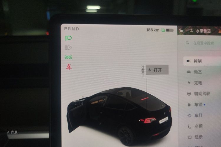 Tesla Model Y 2021 #13 Tesla Model Y 2021 صورة سيارة #13