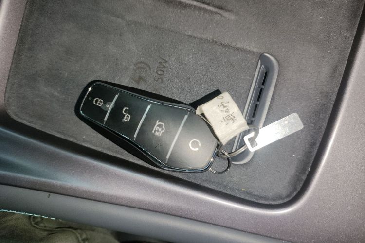 BYD Sea Lion 07 DM-i 2025 car image #14