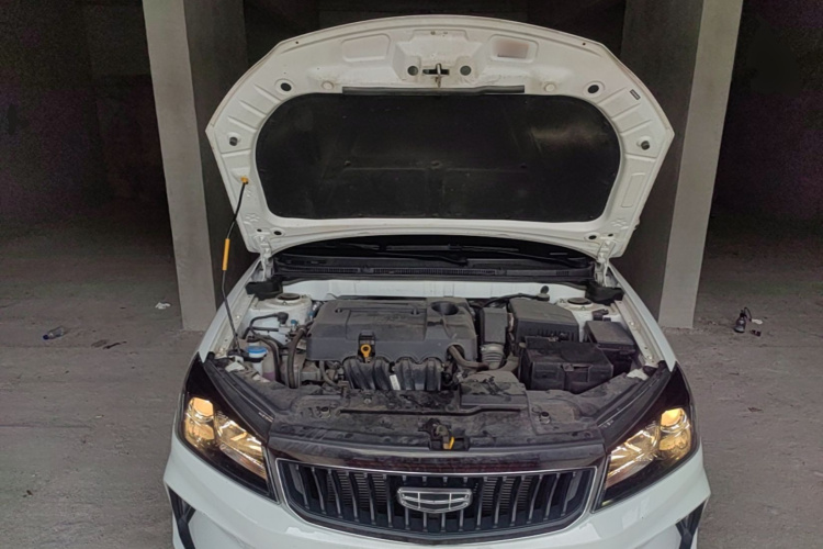 GEELY Emgrand 2021 #22 GEELY Emgrand 2021 car image #22