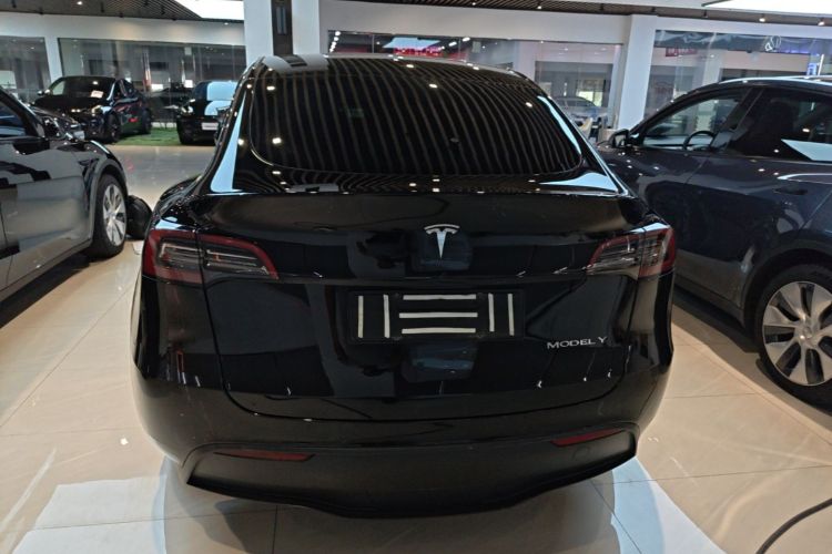 Tesla Model Y 2022 car image #6