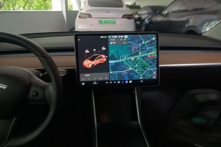 Tesla Model 3 2020 immagine di auto #13