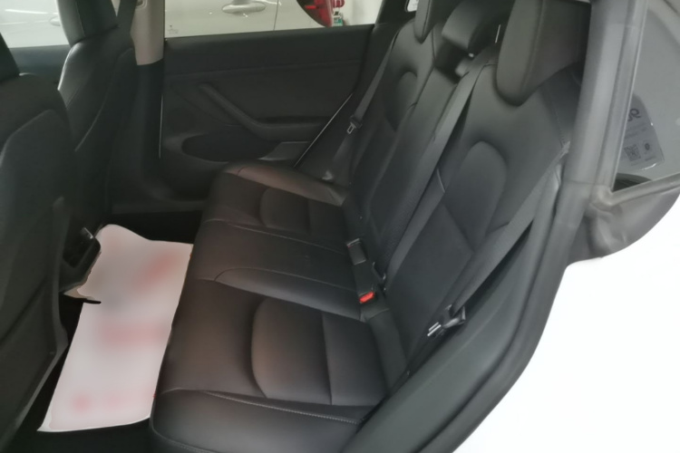 Tesla Model 3 2021 car image #17