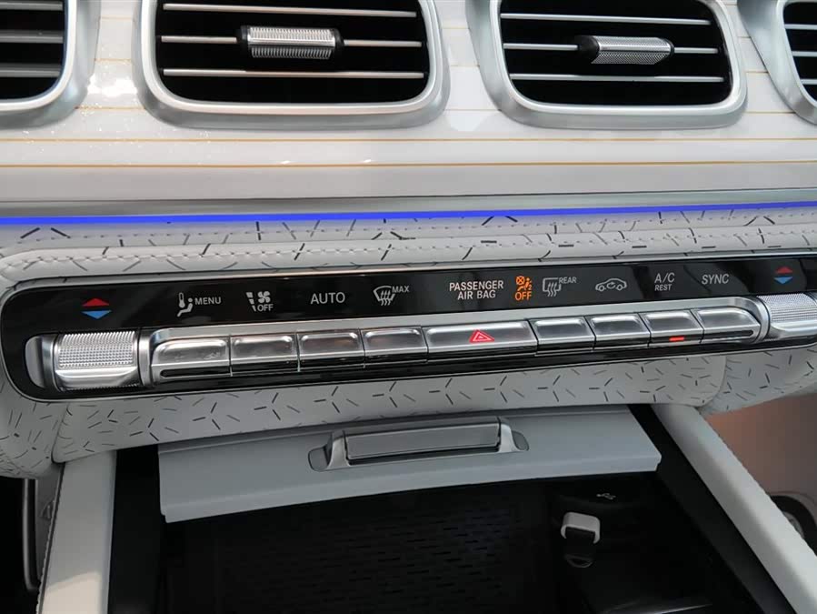 Mercedes-Benz Maybach GLS car image #43