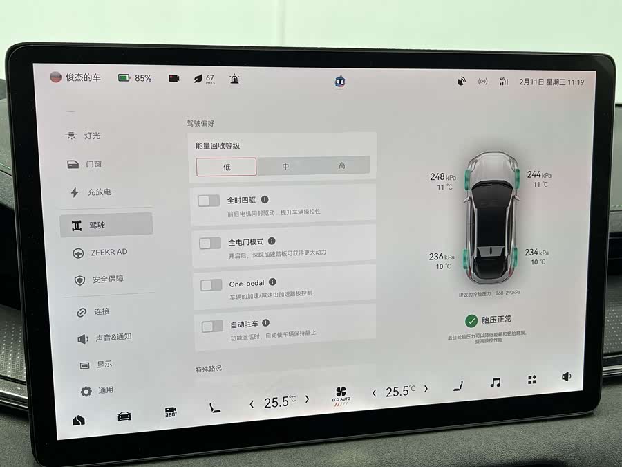 极氪 极氪001 2023 汽车图片 #43