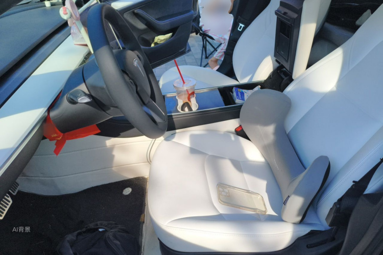 Tesla Model 3 2022 immagine di auto #17