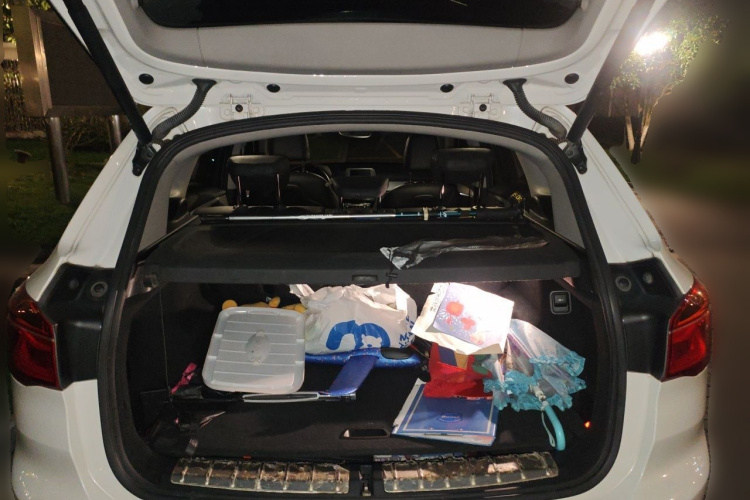 BMW X1 2017 #21 BMW X1 2017 car image #21