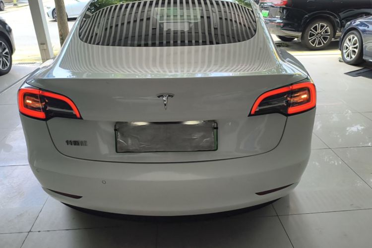 Tesla Model 3 2020 immagine di auto #4