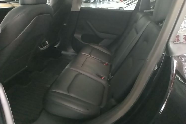 Tesla Model Y 2021 car image #17