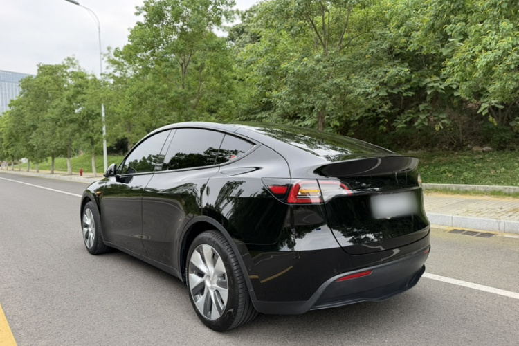 Tesla Model Y 2022 #8 Tesla Model Y 2022 car image #8