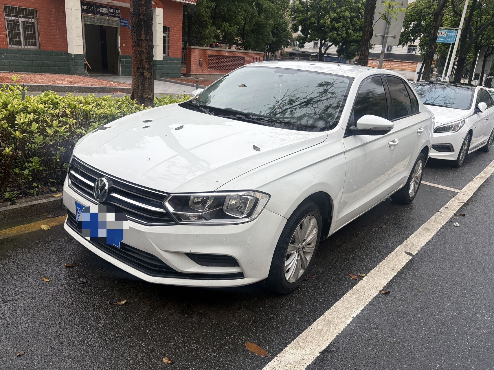 Volkswagen Bora 2020 immagine di auto 
