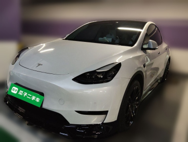 Tesla Model Y 2022 car image 