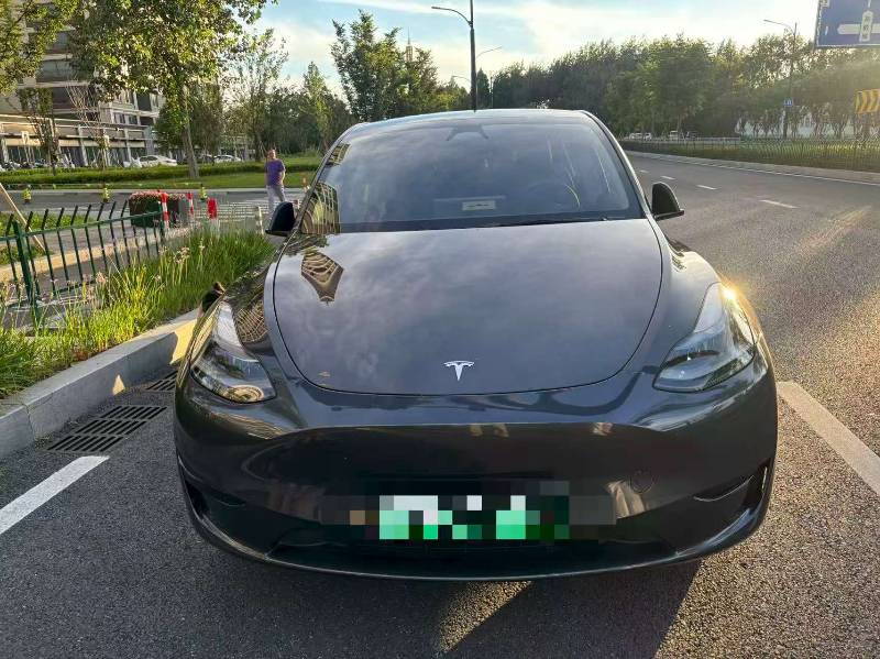 Tesla Model Y 2024 Tesla Model Y 2024 car image
